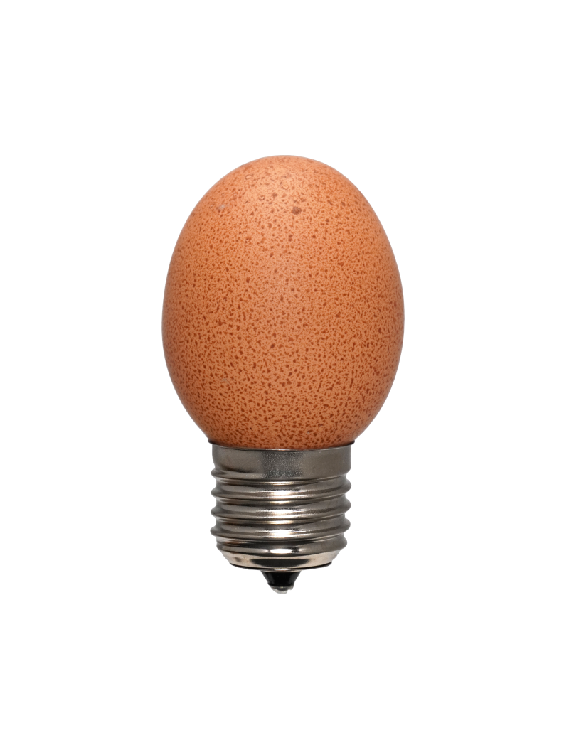 Egglamp Brown | Real Eggshell Light Bulb, Soft Warm Glow, Handmade in the Netherlands