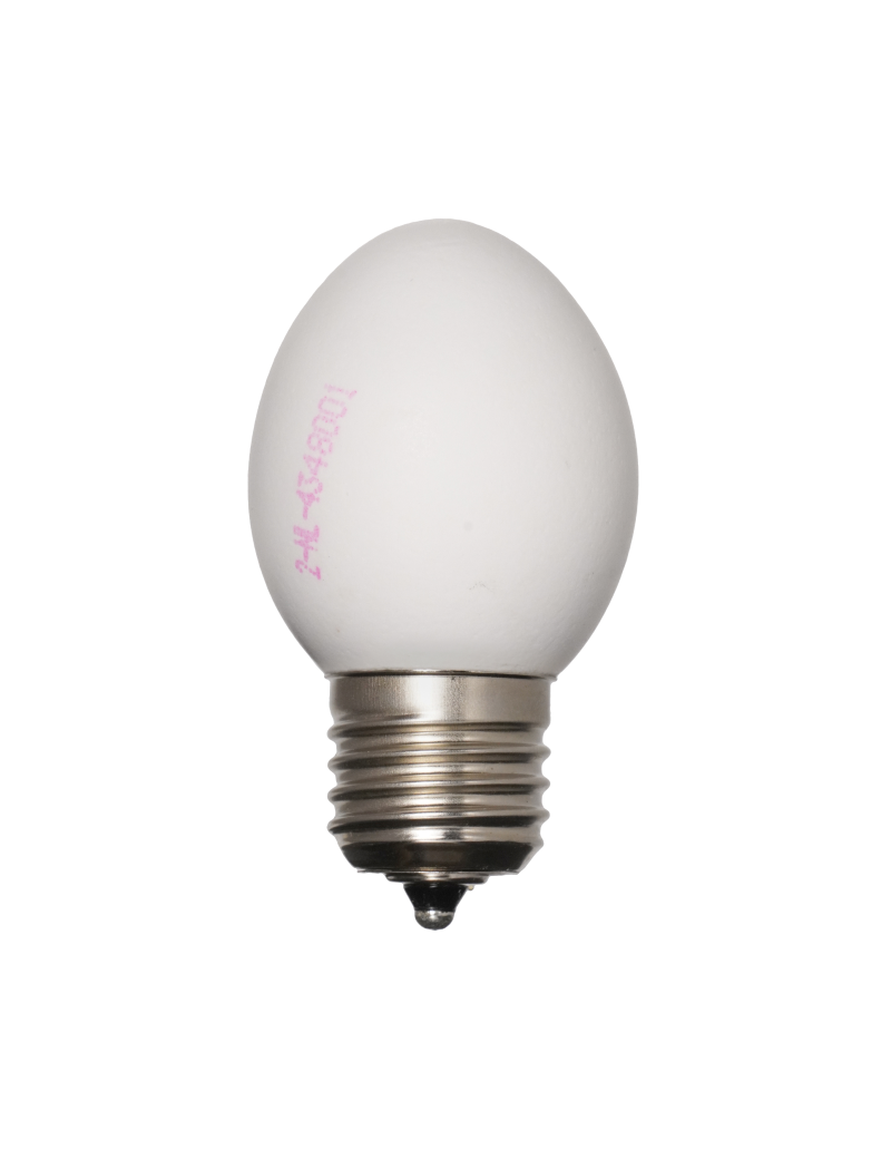 Egglamp White | Real Eggshell Light Bulb, Handmade in the Netherlands