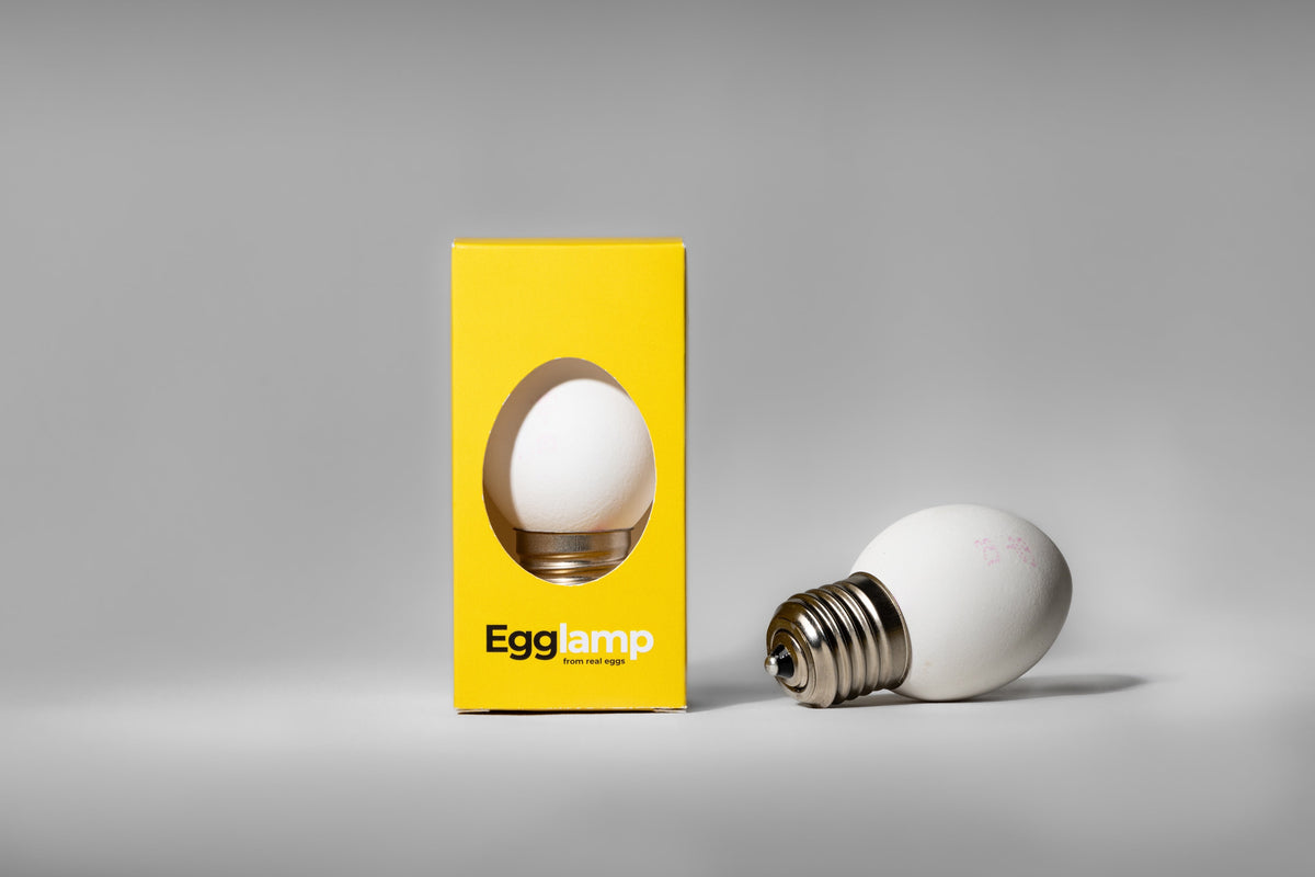 Egglamp White | Real Eggshell Light Bulb, Handmade in the Netherlands