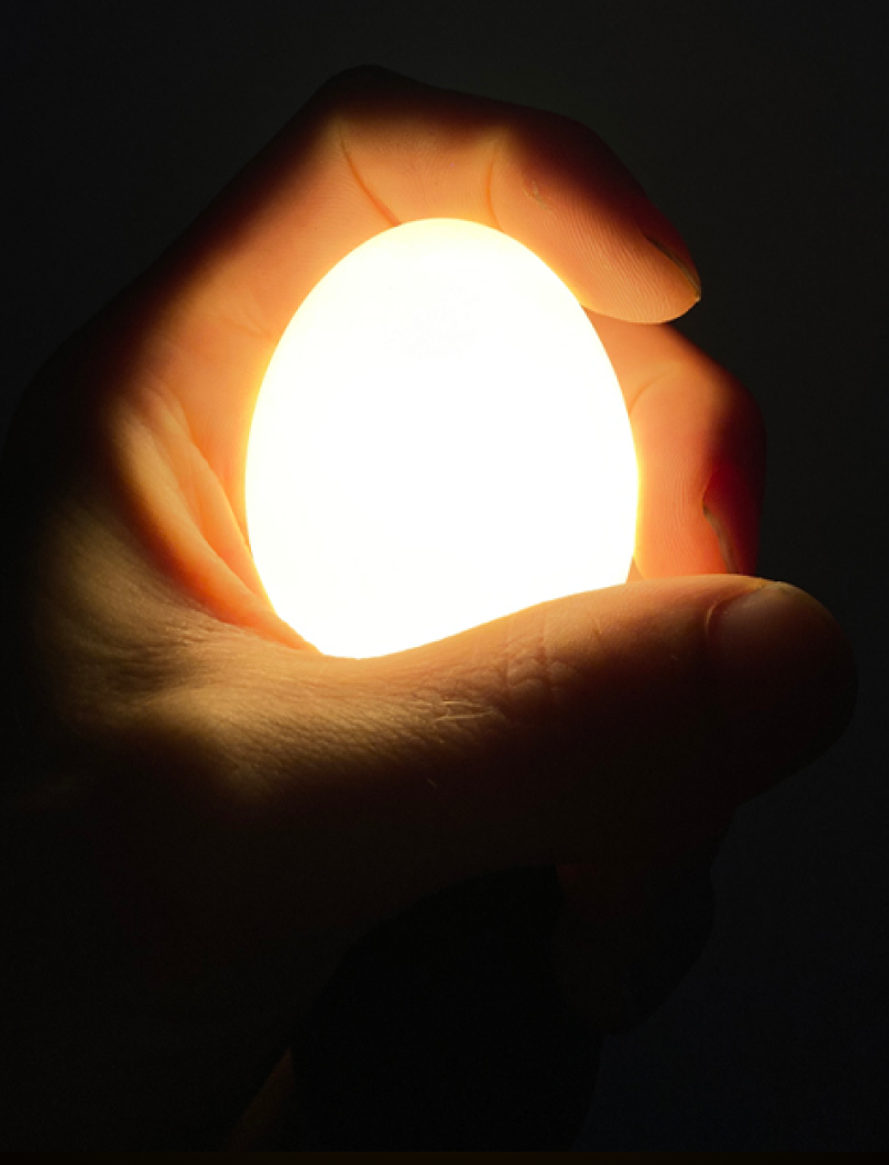 Egglamp White | Real Eggshell Light Bulb, Handmade in the Netherlands